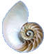 Nautilus Book Awards